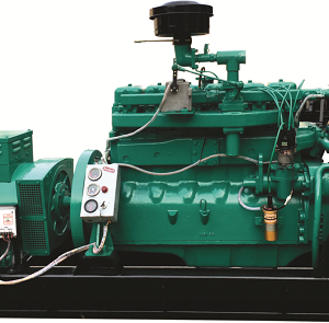 Bio Gas Genset